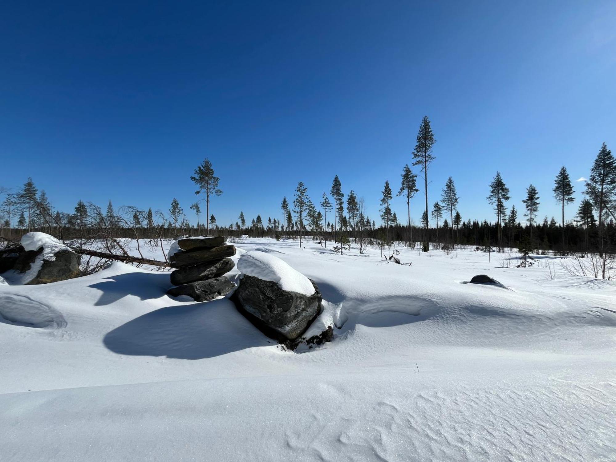 Log Cottages In 10 Min From Santa Claus Village-Sauna&Freeparking Rovaniemi Zewnętrze zdjęcie